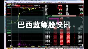 巴西蓝筹股快讯