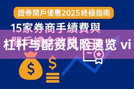 杠杆与配资风险速览 vi